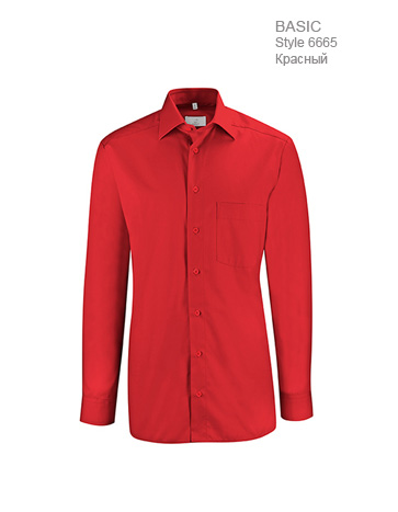 Рубашка-мужская-Regular-Fit-ST6665-Greiff-6665.1120.050-363x467-1