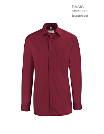 Рубашка-мужская-Regular-Fit-ST6665-Greiff-6665.1120.053-363x467-1