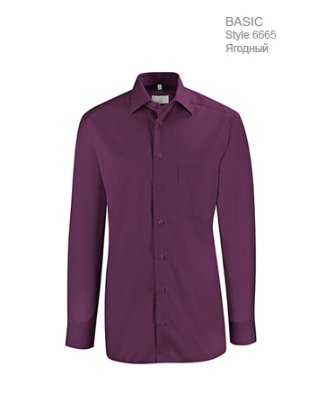 Рубашка-мужская-Regular-Fit-ST6665-Greiff-6665.1120.060-363x467-1