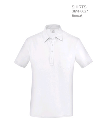 Рубашка-поло-мужская-Regular-Fit-ST6627-Greiff-6627.1405.090-363x467-1